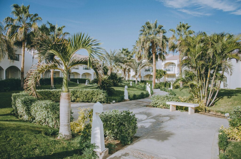 yuriy-kleymenov-5iFKgvYyXrQ-unsplash